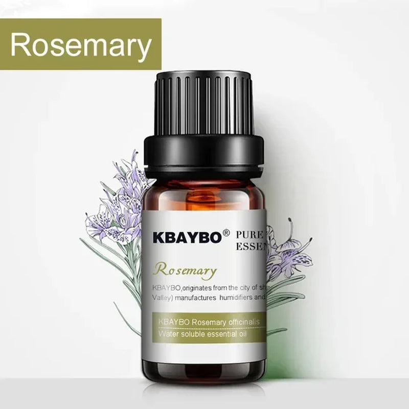 Essential Oils for Diffuser, Aromatherapy Oil Humidifier 6 Kinds Fragrance of Lavender, Tea Tree, Rosemary, Lemongrass, Orange