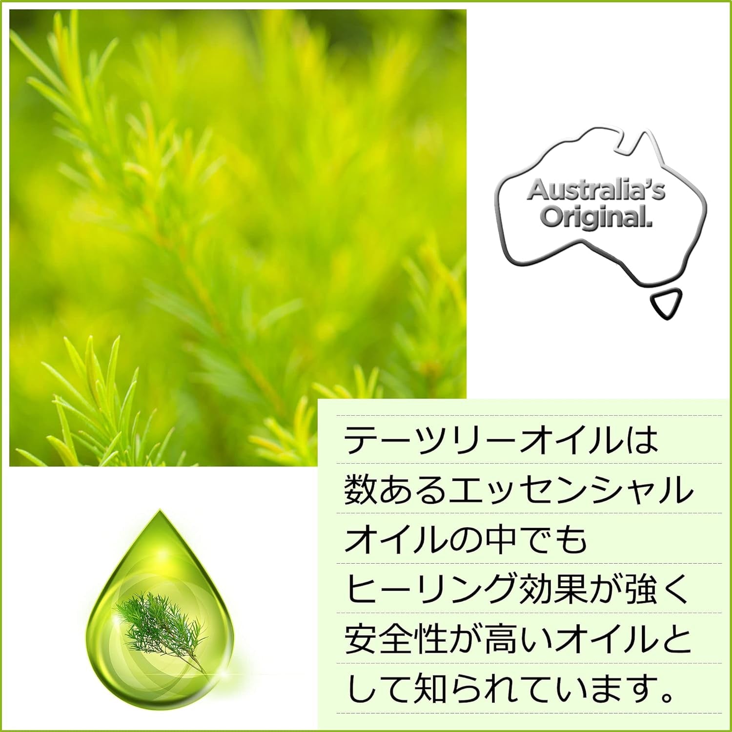 3 PACK of  Tea Tree Everyday Conditioner 250Ml