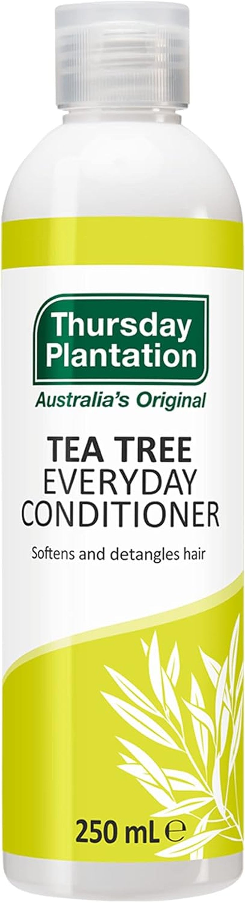 3 PACK of  Tea Tree Everyday Conditioner 250Ml