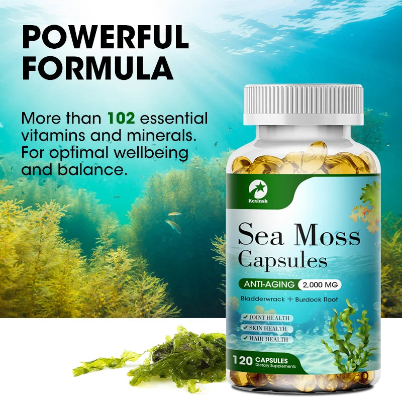 KEXINSH Organic Sea Moss Capsules – Daily Sea Moss Supplement for Thyroid & Wellness Support