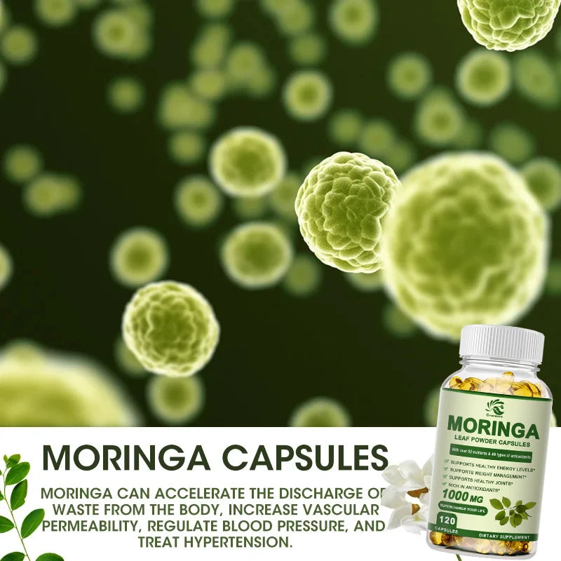 Greensure Moringa Capsules – Organic Moringa Leaf Supplement for Daily Wellness Support