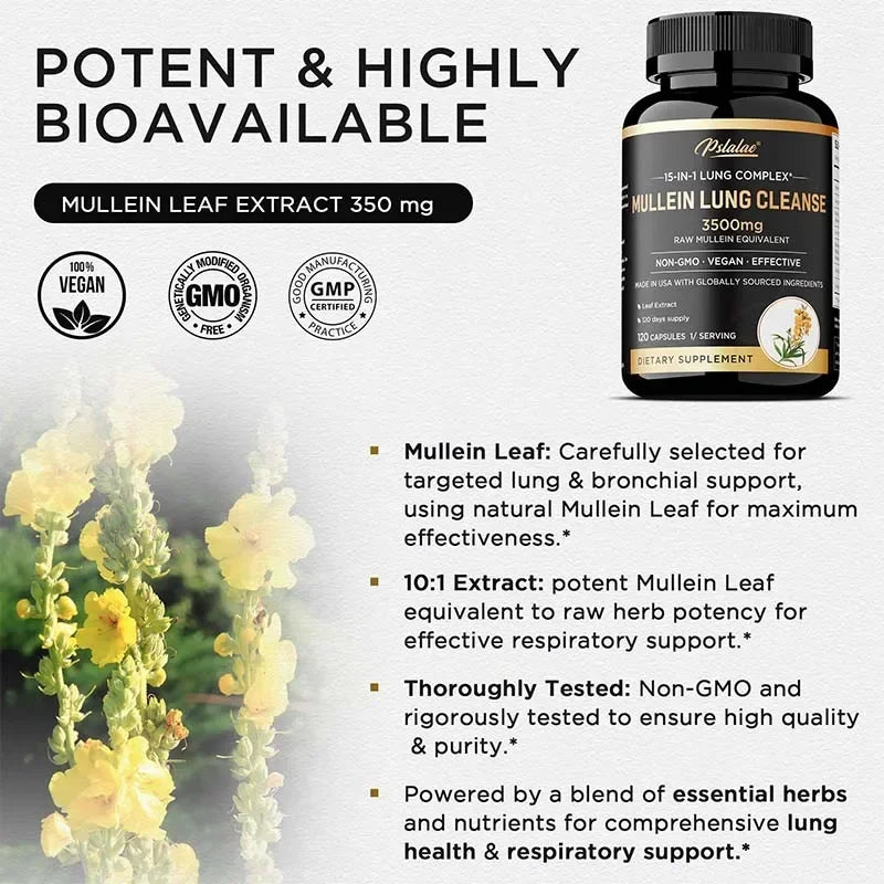 PSLALAE Mullein Lung Support Capsules with NAC & Turmeric 3500mg – Respiratory Health, Immune Support & Daily Lung Wellness Supplement (30/60/120 Capsules)