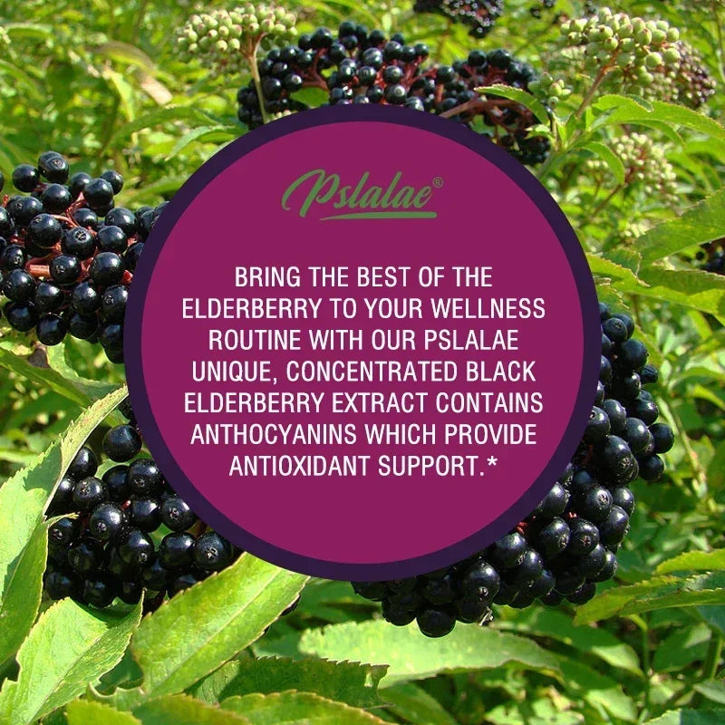 PSLALAE Elderberry Capsules with Vitamin C, D & Zinc – Daily Immune & Antioxidant Support
