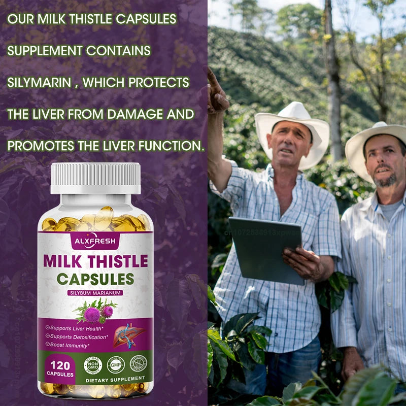 ALXFRESH Milk Thistle Capsules – Liver Health & Antioxidant Daily Wellness Supplement