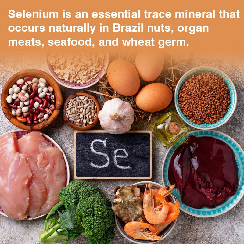 COOLKIN Selenium Capsules – Daily Antioxidant Supplement for Immune, Thyroid & Energy Support