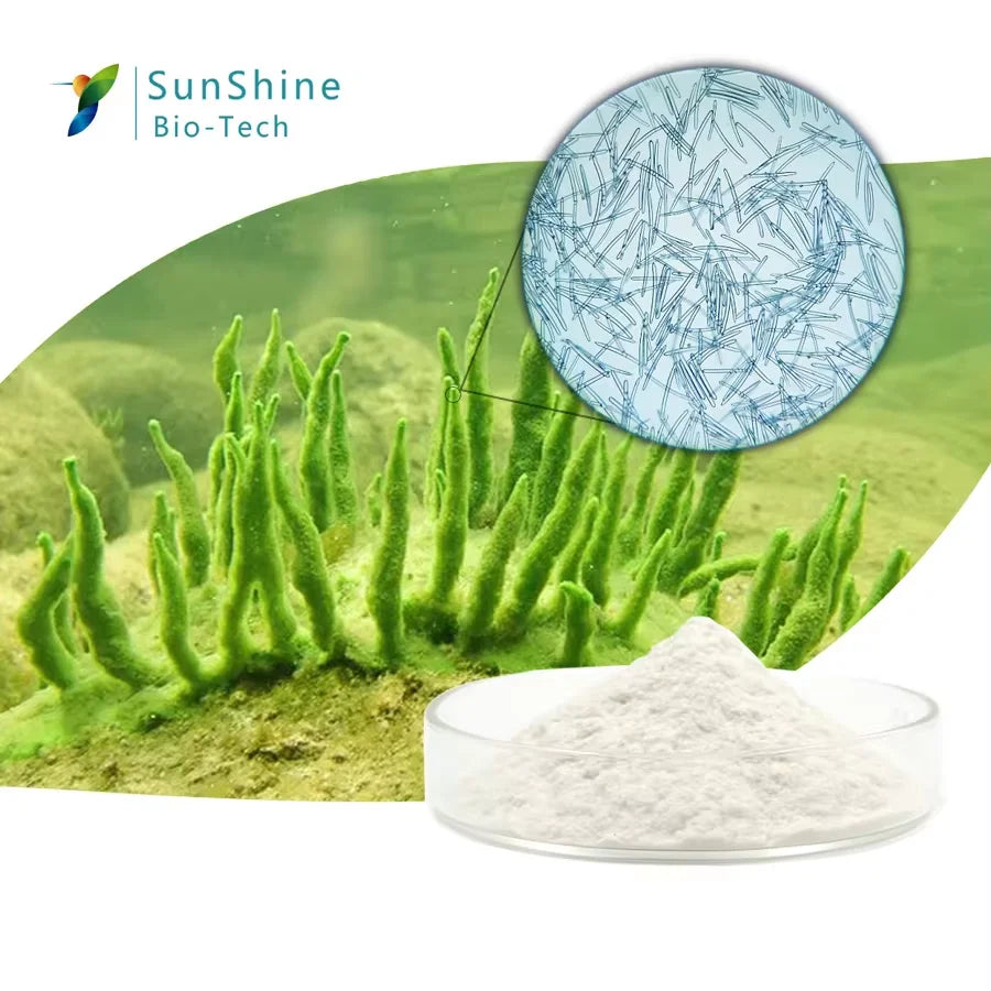 Sponge Spicule Facial Skincare Kit – Freeze-Dried Powder & Hydrating Solution, 1 Application