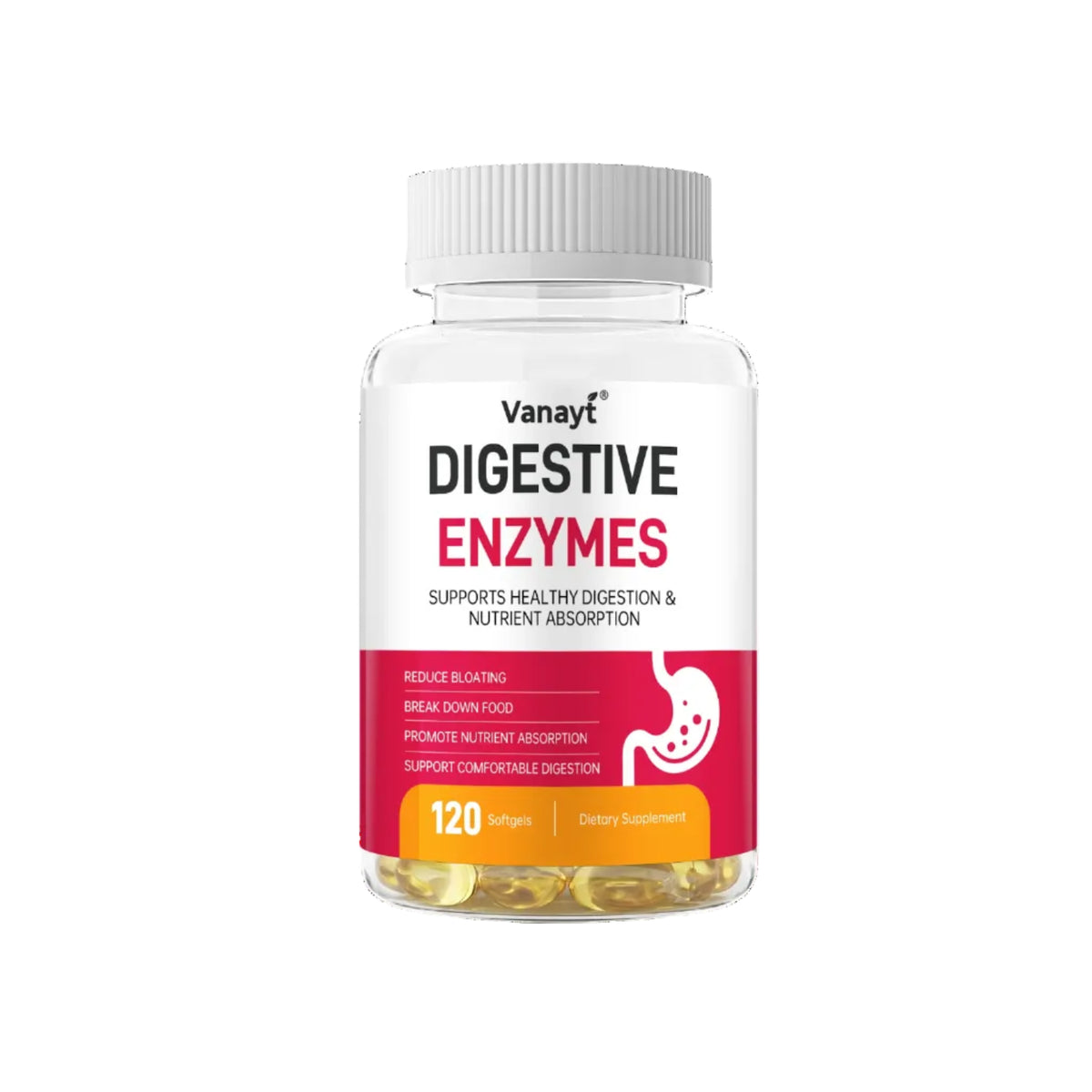 Digestive Enzymes with Prebiotics & Probiotics – Gut Health Support, 120 Capsules
