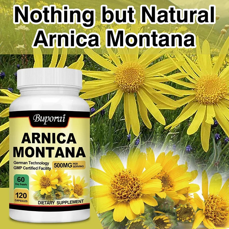 XEMENRY Arnica Montana Capsules – Natural Arnica Extract for Bruising, Swelling & Recovery Support