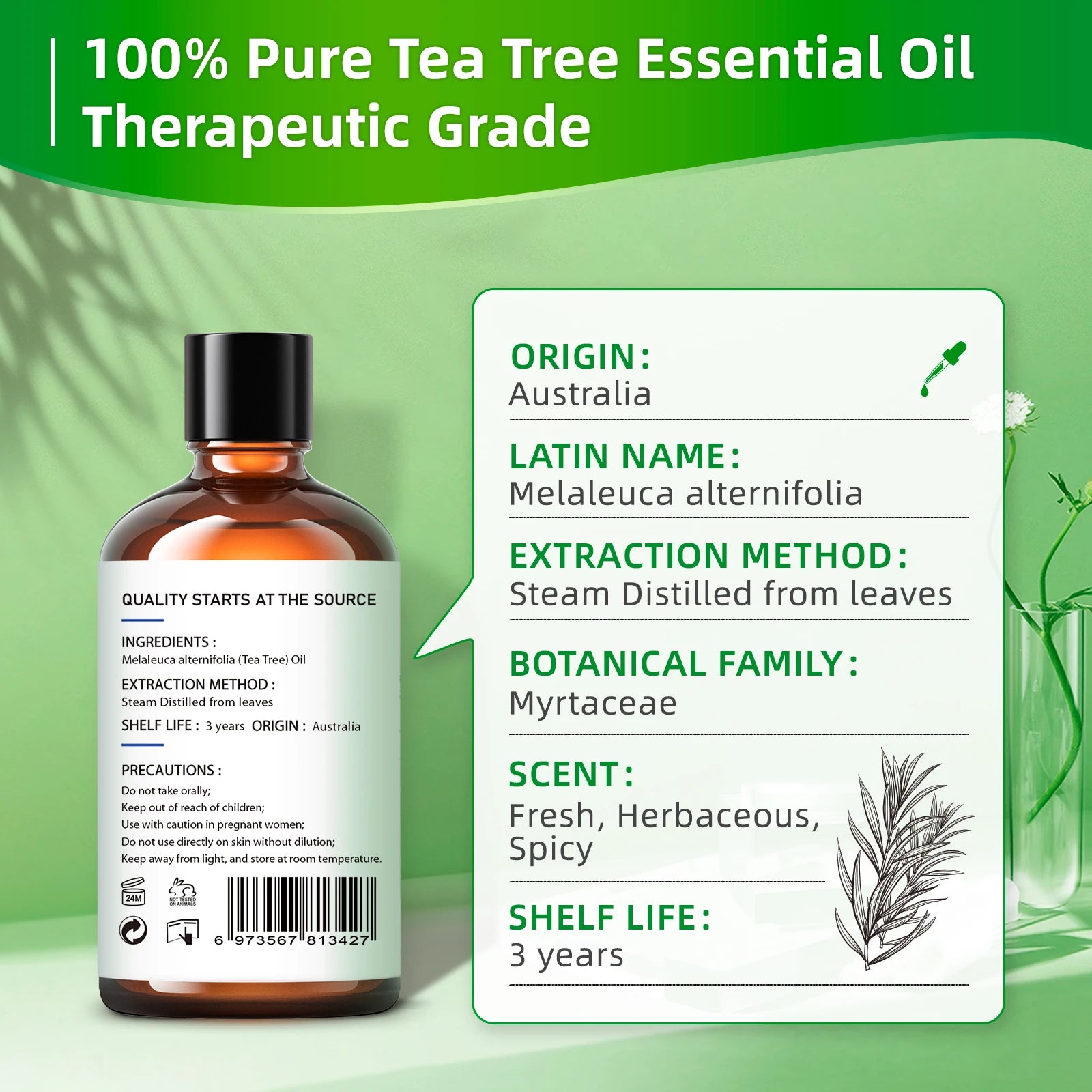 HIQILI Tea Tree Essential Oil 100ml – 100% Pure Steam Distilled Oil for Aromatherapy, Diffusers & Hair Care