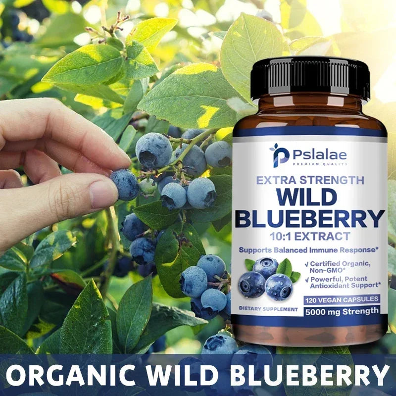 Xemenry Wild Blueberry Capsules – Antioxidant Supplement for Eye Health, Brain Wellness & Daily Immune Support