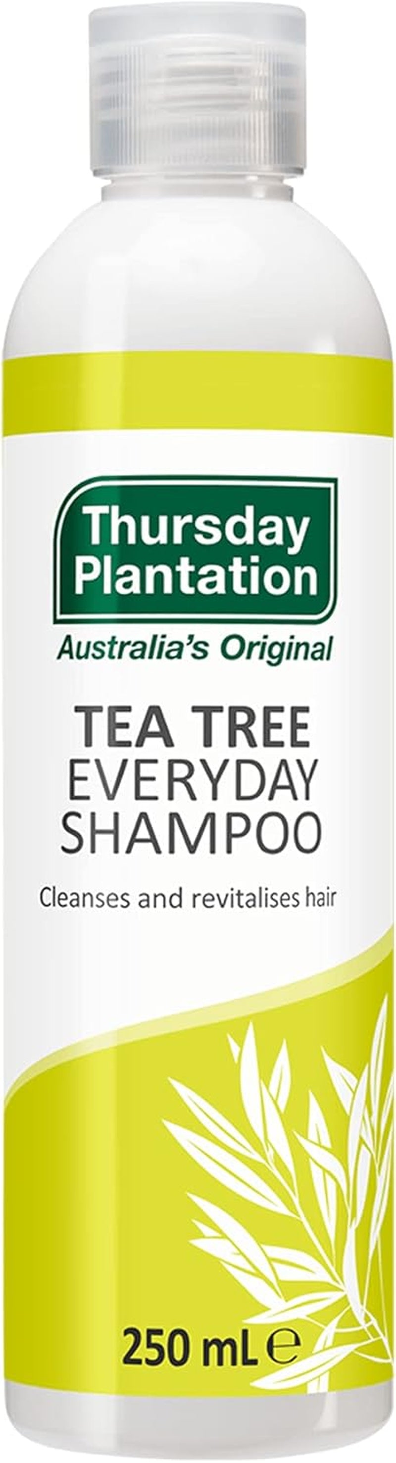 3 Pack of Tea Tree Everyday Shampoo 250Ml