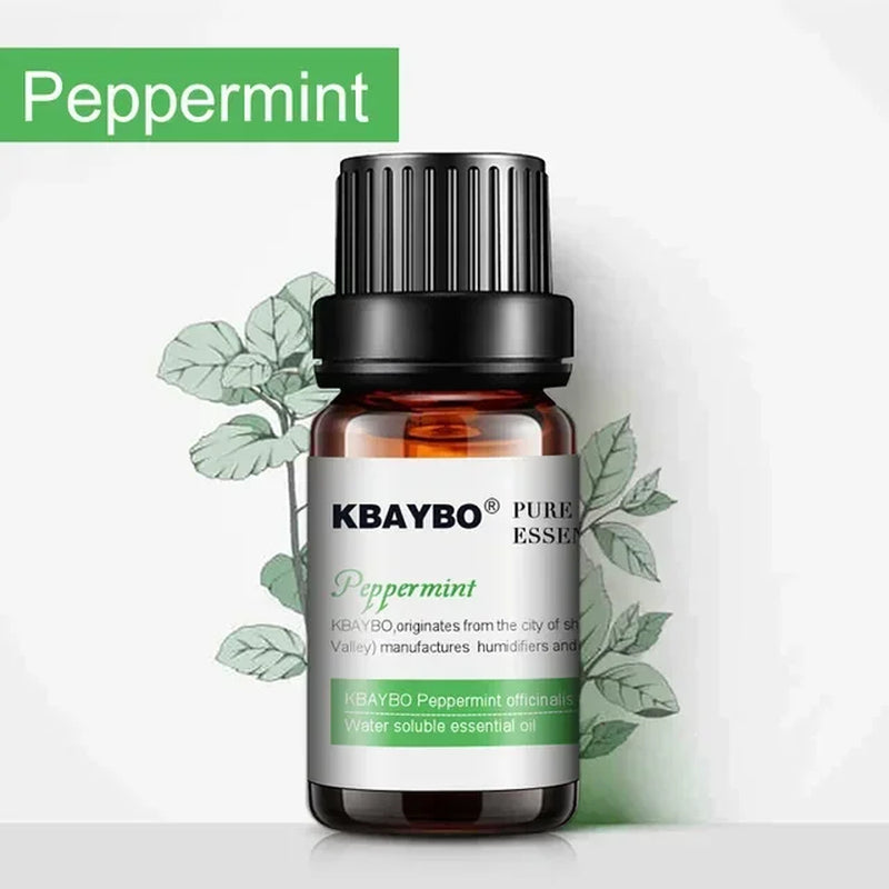 Essential Oils for Diffuser, Aromatherapy Oil Humidifier 6 Kinds Fragrance of Lavender, Tea Tree, Rosemary, Lemongrass, Orange